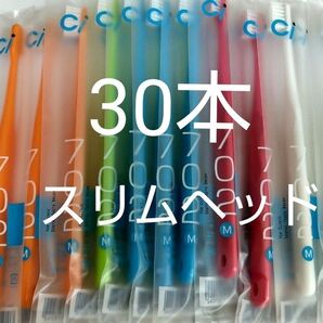 30本セット 歯科医院専用スリムヘッド歯ブラシCi 702 ふつう(