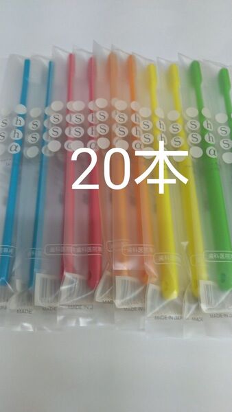 20本セット 歯科医院専用歯ブラシシュシュ α ふつう 日本製 (