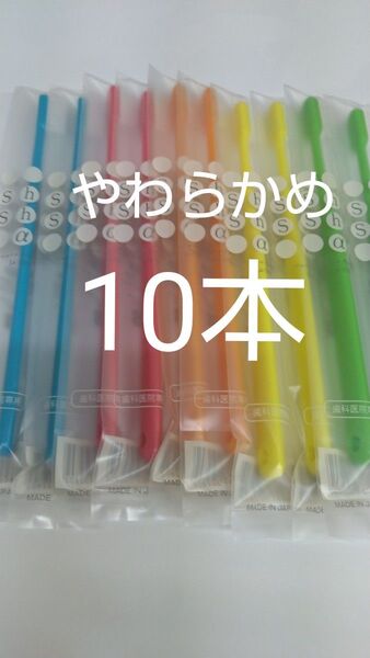 やわらかめ人気です大人用歯ブラシ10本セット 歯科医院専用 シュシュ α 日本製