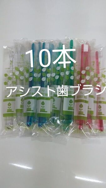 10本歯科医院専用ciアシスト歯ブラシ Mふつう