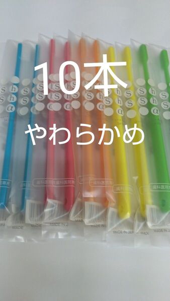 やわらかめ人気です大人用歯ブラシ10本セット 歯科医院専用 シュシュ α 日本