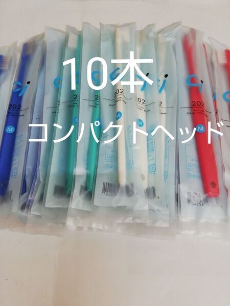 10本歯科医院専用コンパクトヘッド歯ブラシ Ci202ふつう