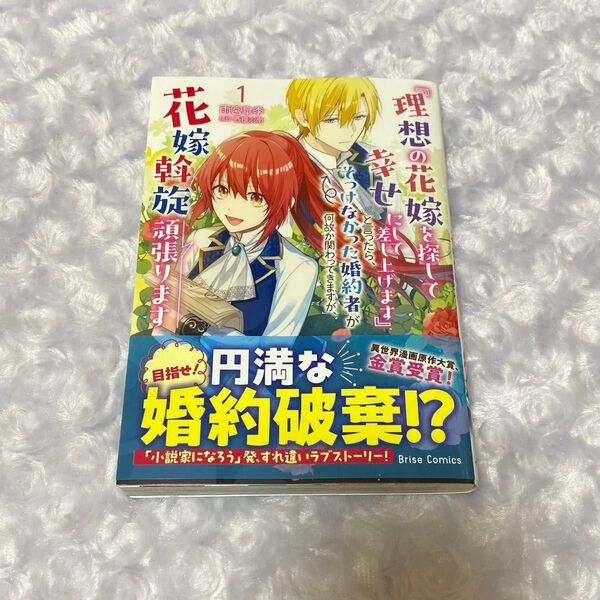 『理想の花嫁を探して幸せにして差し上げます』と言ったら、そっけなかった婚約者が何故か関わってきますが、花嫁斡旋頑張ります 1