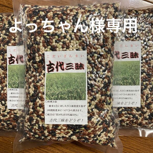 古代米 古代三昧 450g×8