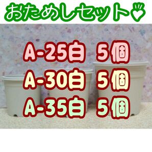 プラ鉢 15個 おまとめセット!【A-25・A-30・A-35 各5個】2.5号・3号・3.5号鉢 相当 プレステラ 多肉植物