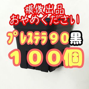 《プレステラ90》黒 100個 プラ鉢スリット鉢 多肉植物 植木鉢 【3号鉢】 相当