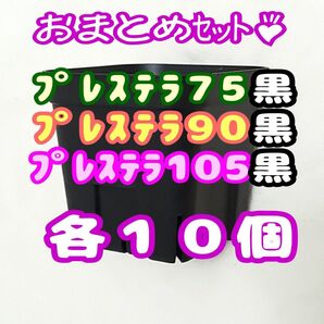 プレステラ黒 75&90&105 各10個 多肉植物 プラ鉢 スリット鉢