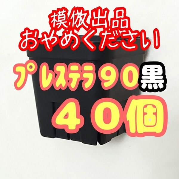 《プレステラ90》黒 40個 プラ鉢スリット鉢 多肉植物 植木鉢 【3号鉢】 相当