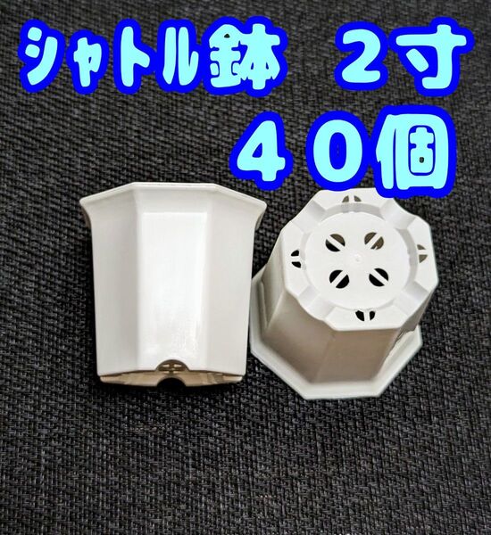 プラ鉢 シャトル鉢【2寸】40個 八角鉢 スリット鉢 プレステラ 多肉植物 2号鉢相当