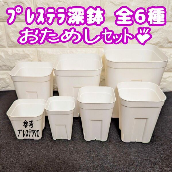 プレステラ深鉢75&90&105&120&150&180 白 各1個 多肉植物 プラ鉢 スリット鉢