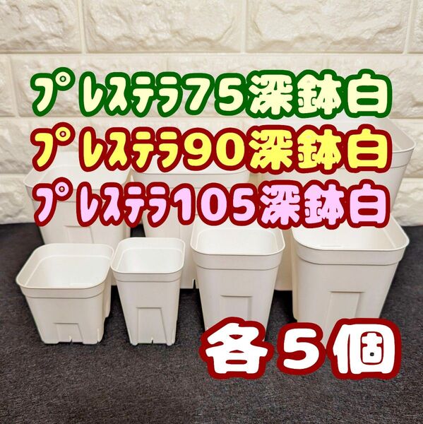 プレステラ深鉢75&90&105 白各5個 プラ鉢スリット鉢 多肉植物