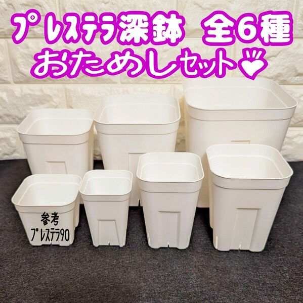 プレステラ深鉢75&90&105&120&150&180 白 各1個 多肉植物 プラ鉢 スリット鉢