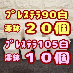 プレステラ深鉢90 20個・プレステラ深鉢105 10個 プラ鉢スリット鉢 多肉植物