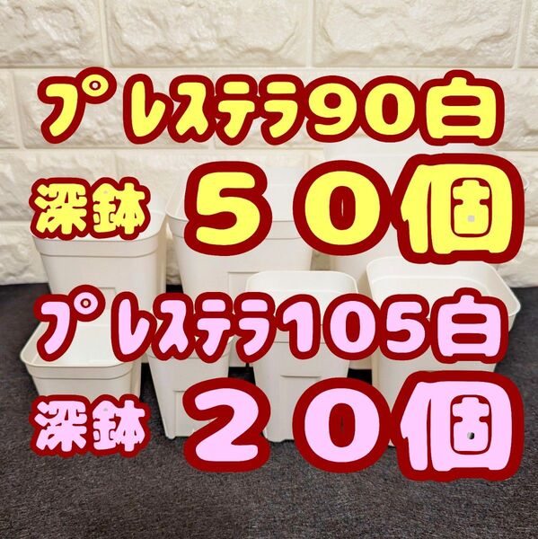 プレステラ深鉢90 50個・プレステラ深鉢105 20個 プラ鉢スリット鉢 多肉植物