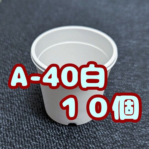 プラ鉢《A-40》白 10個 プラ鉢 4号相当 スリット鉢 多肉植物 プレステラ 植木鉢