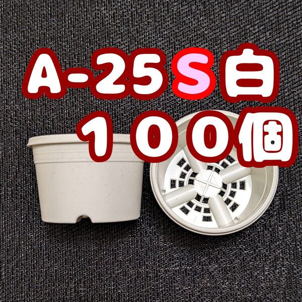 プラ鉢《A-25S》白 100個 プラ鉢 2.5号相当 スリット鉢 多肉植物 プレステラ 植木鉢