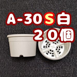 プラ鉢《A-30S》白 20個 プラ鉢 3号相当 スリット鉢 多肉植物 プレステラ 植木鉢