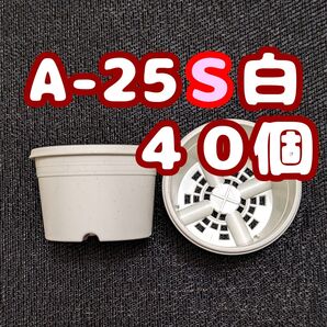 プラ鉢【A-25S】40個 スリット鉢 丸 プレステラ 多肉植物
