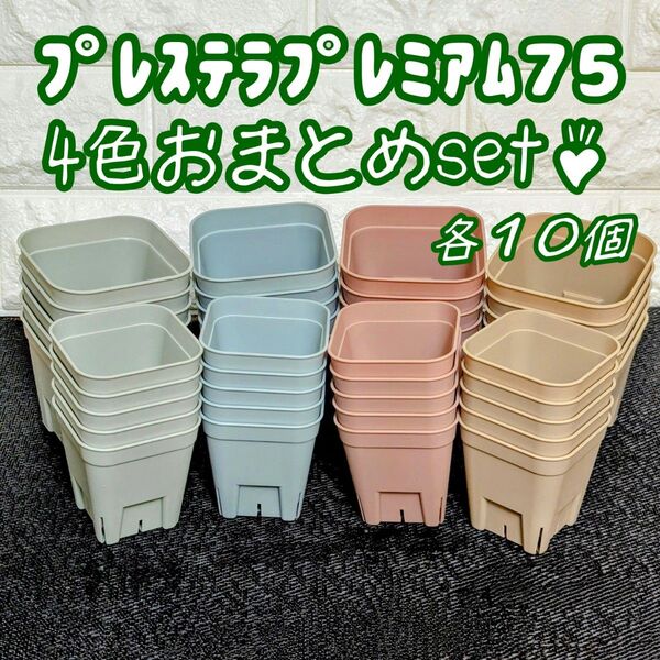 プレステラプレミアム75おまとめset♪4色各10個 多肉植物プラ鉢スリット鉢