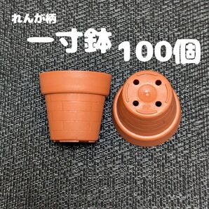 一寸鉢(れんが柄) 100個セット 1号鉢 1号ポット 1号プラ鉢 プレステラ