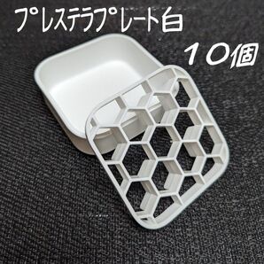 プレステラプレート白10個プラ鉢スリット鉢多肉植物R3LABO/UKEZARA