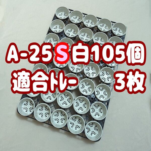 プラ鉢【A-25S】105個+専用システムトレー黒3枚スリット鉢プレステラ多肉植物 2.5号鉢 相当