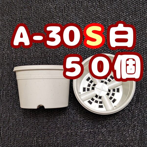 プラ鉢《A-30S》白 50個 プラ鉢 3号相当 スリット鉢 多肉植物 プレステラ 植木鉢
