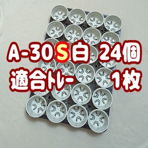 プラ鉢【A-30S】24個+専用システムトレー1枚スリット鉢プレステラ多肉植物 3号鉢 相当