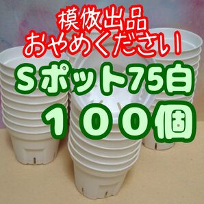 《Sポット75》 白 100個 スリット鉢 プラ鉢 2.5号相当 植木鉢 多肉植物 プレステラ 丸
