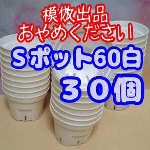 《Sポット60》 白 30個 スリット鉢 プラ鉢 2号相当 植木鉢 多肉植物 プレステラ 丸