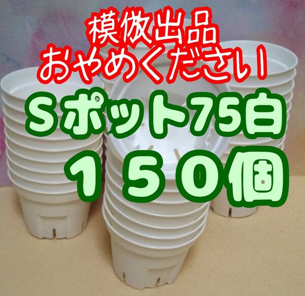 《Sポット75》 白 150個 スリット鉢 プラ鉢 2.5号相当 植木鉢 多肉植物 プレステラ 丸