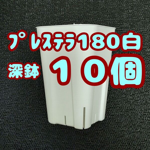 プレステラ深鉢180 白 10個 プラ鉢 スリット鉢 多肉植物