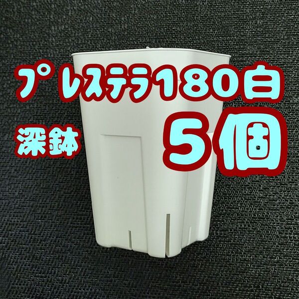プレステラ深鉢180 白 5個 プラ鉢 スリット鉢 多肉植物