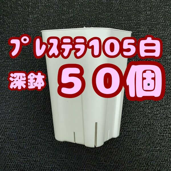 プレステラ深鉢105 白 50個 プラ鉢 スリット鉢 多肉植物
