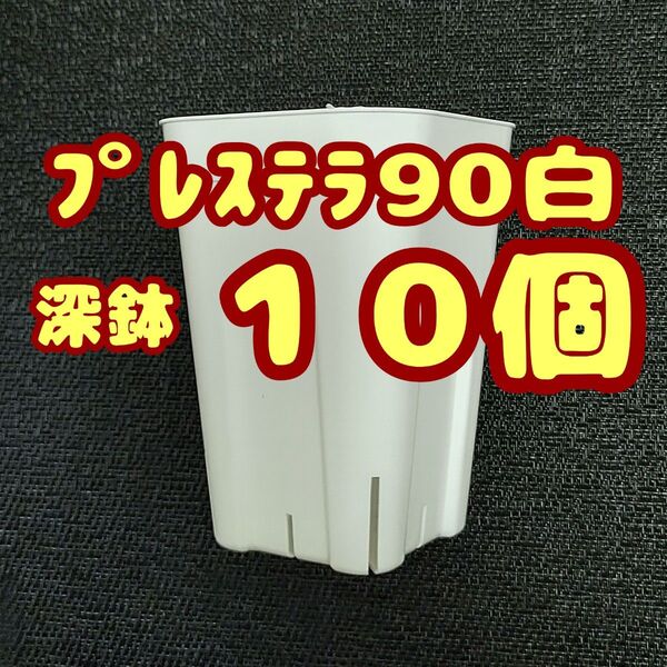 プレステラ深鉢90 白 10個 プラ鉢 スリット鉢 多肉植物