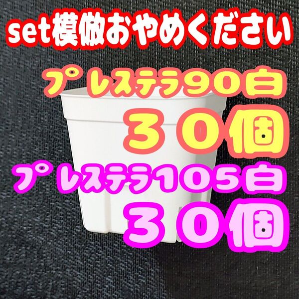 《プレステラ》90黒30個・105黒30個 多肉植物 プラ鉢 スリット鉢 植木鉢