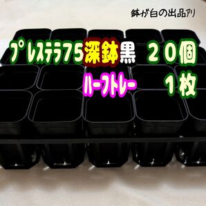 《プレステラ75深鉢黒20個+ハーフトレー1枚》プラ鉢 スリット鉢 多肉植物