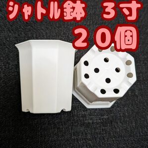 プラ鉢 シャトル鉢【3寸】20個 八角鉢 スリット鉢 プレステラ 多肉植物 3号鉢相当
