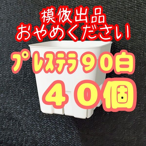 《プレステラ90》白 40個 プラ鉢スリット鉢 多肉植物 植木鉢 【3号鉢】 相当