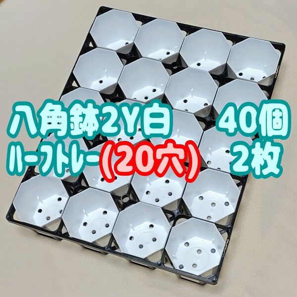 プラ鉢 カネヤ 八角鉢 2Y白40個+ハーフトレー2枚 スリット鉢 プレステラ 多肉植物 2号鉢相当