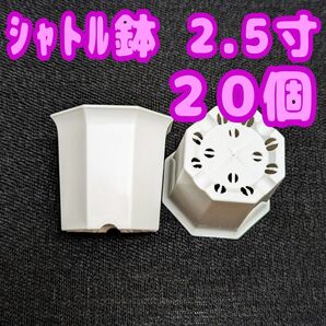 プラ鉢 シャトル鉢【2.5寸】20個 八角鉢 スリット鉢 プレステラ 多肉植物 2.5号鉢相当