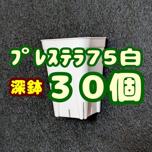 プレステラ深鉢75 白 30個 プラ鉢 スリット鉢 多肉植物