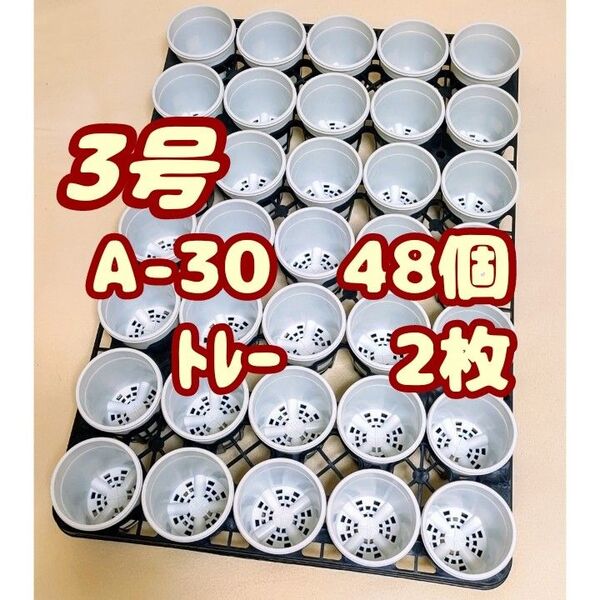 プラ鉢【A-30】48個+専用システムトレー2枚 スリット鉢プレステラ多肉植物 3号鉢 相当