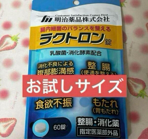 明治薬品ラクトロン錠 60錠