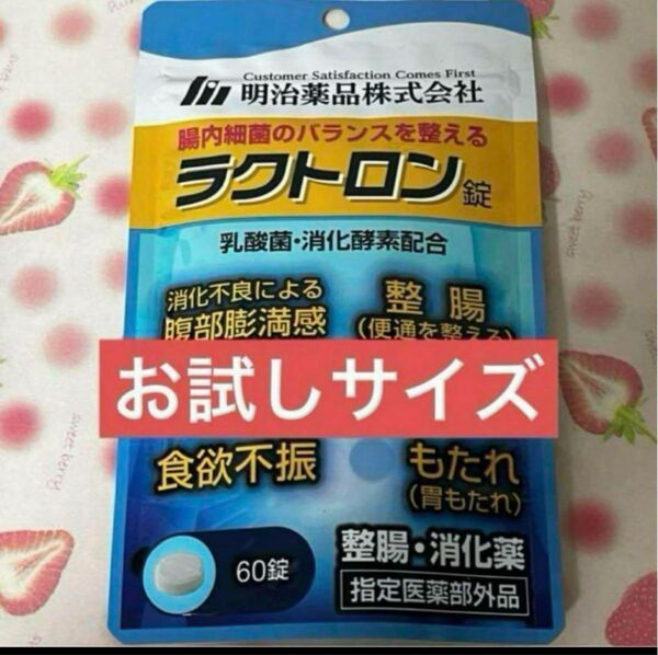 明治薬品ラクトロン錠 60錠