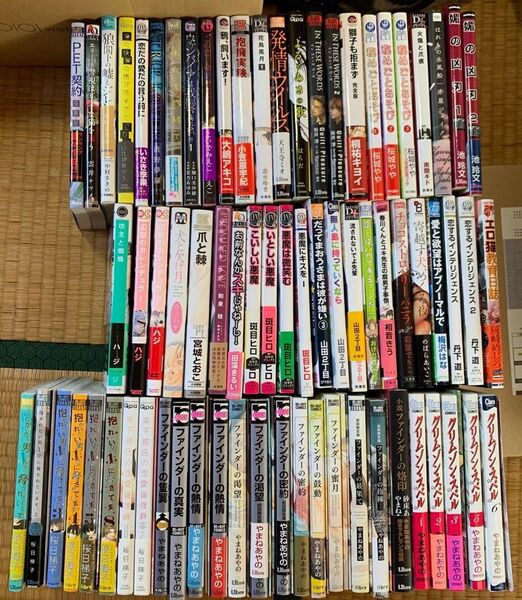 特典 冊子 ファインダーシリーズ 抱かれたい男一位に脅されています セット 小説 BL 漫画 コミック ボーイズラブ BL