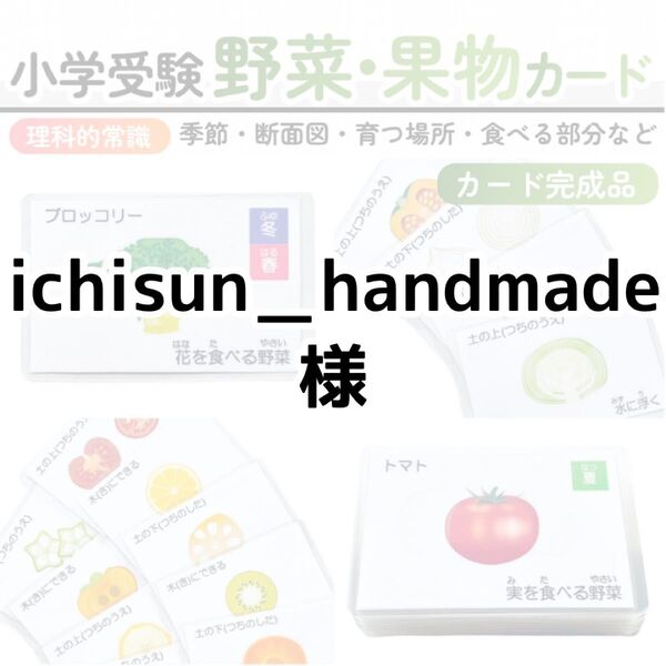 【完成品】野菜・果物カード 小学校受験教材 理科的常識 幼児教育 知育 断面図