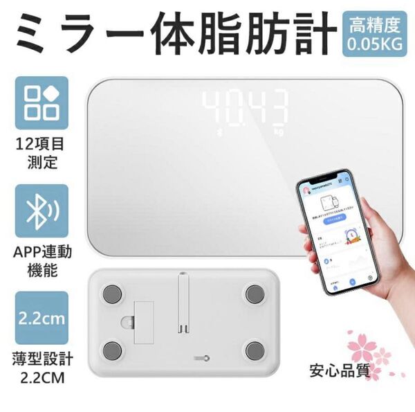 ミラー体脂肪計 12項目測定 USB充電