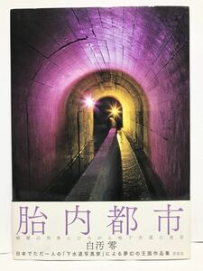 胎内都市 写真集 白汚零 帯付き 2018年10月25日 初版 第1刷 草思社 アンダーグラウンド 下水道 地下空間 フルカラー 80カット 折れ無 美品