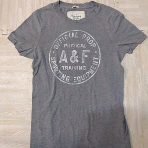 Abercrombie & Fitch グレー S 半袖Tシャツ